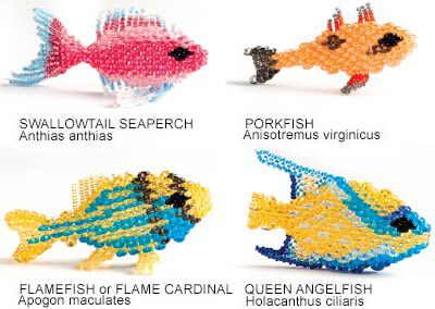 4 different fish made from seed beads